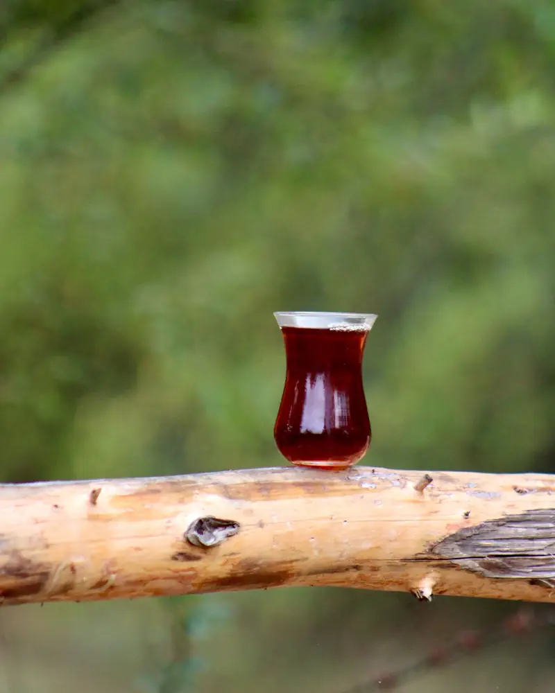 Glass of black tea on a wooden branch